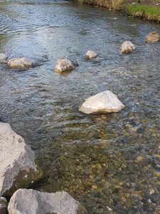 Barfuß und wild