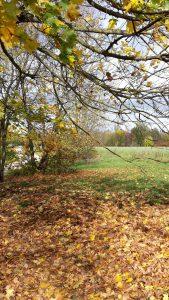 Herbst-2017