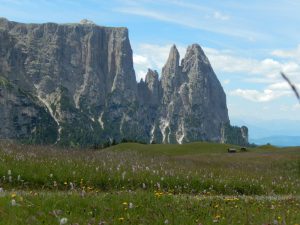 Homepage 7.Seiser Alm