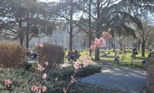 Univiertel Frühling klein